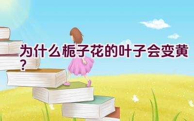 为什么栀子花的叶子会变黄？插图