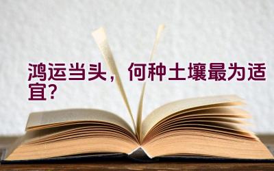 鸿运当头，何种土壤最为适宜？
