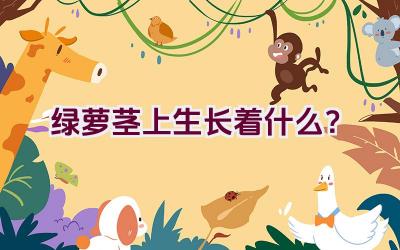 绿萝茎上生长着什么？插图