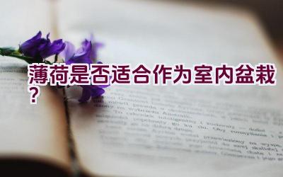 薄荷是否适合作为室内盆栽？插图