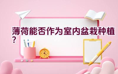 薄荷能否作为室内盆栽种植？插图