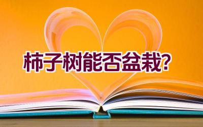 柿子树能否盆栽？插图