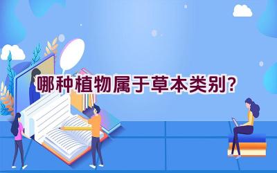 “哪种植物属于草本类别？”插图