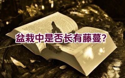 盆栽中是否长有藤蔓？插图
