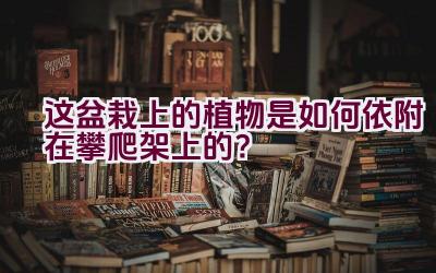 这盆栽上的植物是如何依附在攀爬架上的？插图