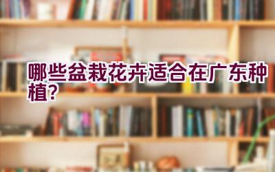 哪些盆栽花卉适合在广东种植？插图