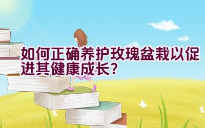 如何正确养护玫瑰盆栽以促进其健康成长？插图