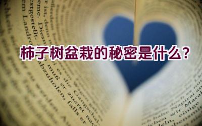 柿子树盆栽的秘密是什么？插图