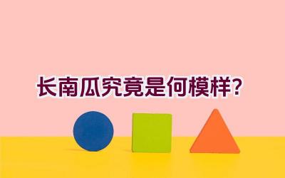 长南瓜究竟是何模样？插图