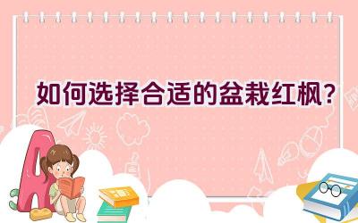 如何选择合适的盆栽红枫？插图