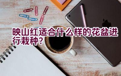 映山红适合什么样的花盆进行栽种？插图