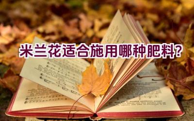 米兰花适合施用哪种肥料？插图