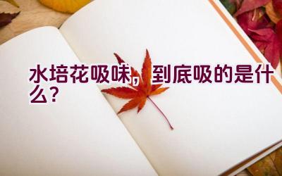 水培花吸味，到底吸的是什么？插图