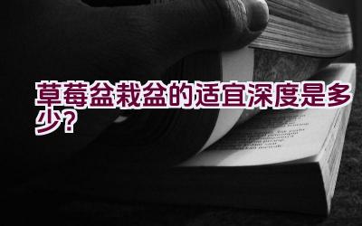 草莓盆栽盆的适宜深度是多少？插图