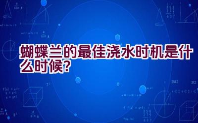 蝴蝶兰的最佳浇水时机是什么时候？