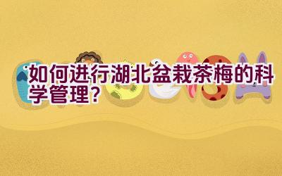 如何进行湖北盆栽茶梅的科学管理？插图
