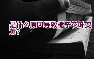 是什么原因导致栀子花叶变黄？插图