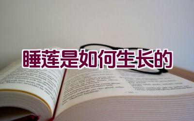 睡莲是如何生长的插图