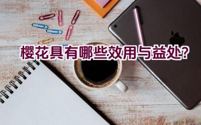樱花具有哪些效用与益处？插图