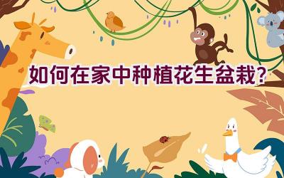 如何在家中种植花生盆栽？插图