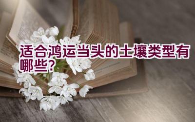 适合鸿运当头的土壤类型有哪些？插图