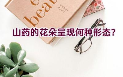 山药的花朵呈现何种形态？插图