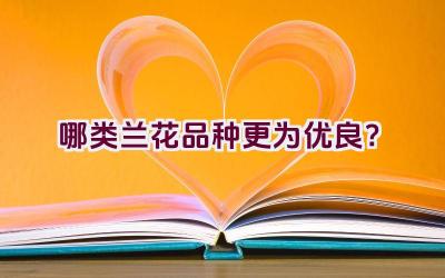 哪类兰花品种更为优良？插图