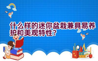 什么样的迷你盆栽兼具易养护和美观特性？