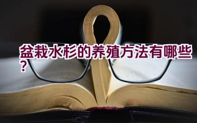 盆栽水杉的养殖方法有哪些？插图