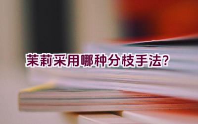 茉莉采用哪种分枝手法？插图