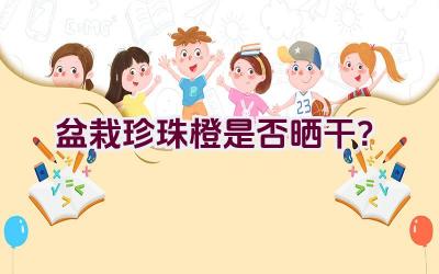 盆栽珍珠橙是否晒干？插图