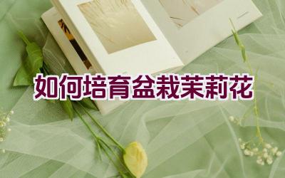 如何培育盆栽茉莉花插图