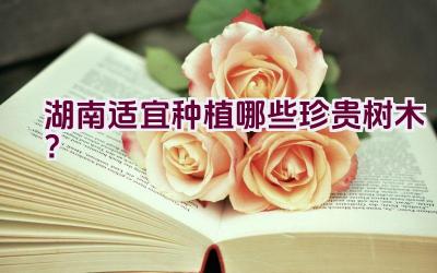 湖南适宜种植哪些珍贵树木？插图