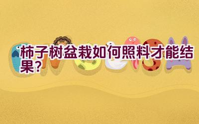 柿子树盆栽如何照料才能结果？插图