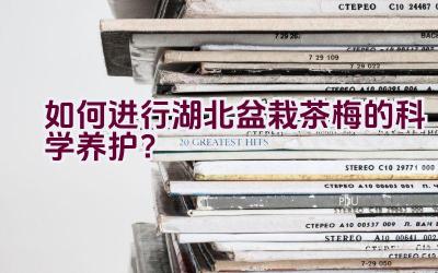 如何进行湖北盆栽茶梅的科学养护？插图