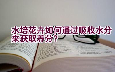 水培花卉如何通过吸收水分来获取养分？插图