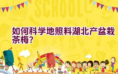 如何科学地照料湖北产盆栽茶梅？插图