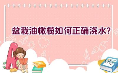 盆栽油橄榄如何正确浇水？插图