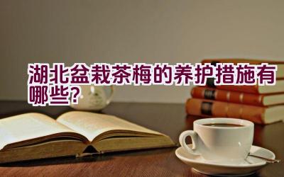 湖北盆栽茶梅的养护措施有哪些？插图