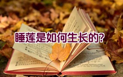 睡莲是如何生长的？插图