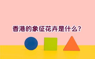 香港的象征花卉是什么？插图