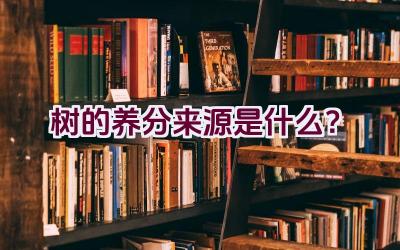 树的养分来源是什么？