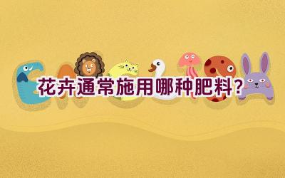 花卉通常施用哪种肥料？插图