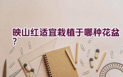 映山红适宜栽植于哪种花盆？插图