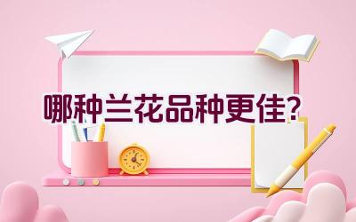 哪种兰花品种更佳？插图