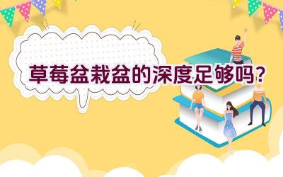 草莓盆栽盆的深度足够吗？插图