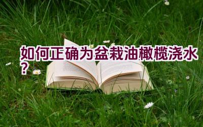 如何正确为盆栽油橄榄浇水？插图