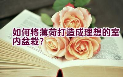 如何将薄荷打造成理想的室内盆栽？插图