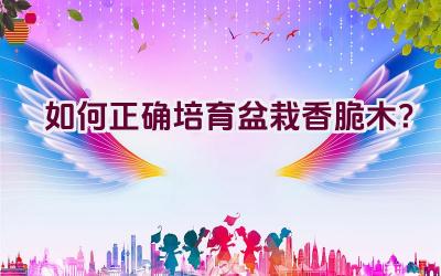 如何正确培育盆栽香脆木？插图
