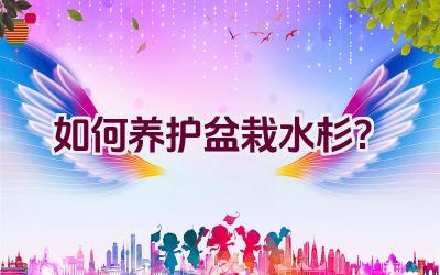 如何养护盆栽水杉？插图